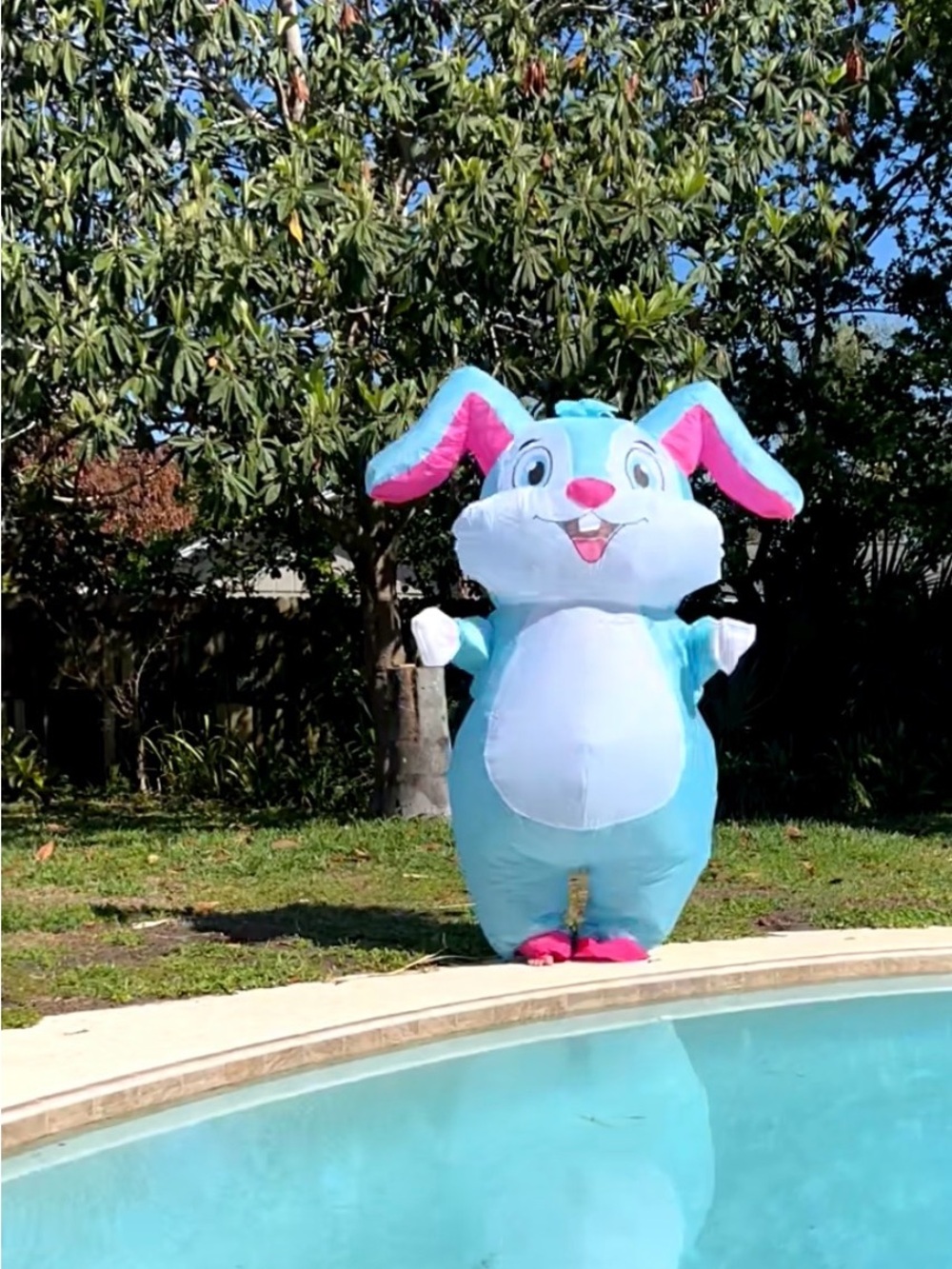 Inflatable blue bunny costume